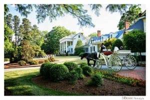 Rose Hill Plantation Horse & Carriage