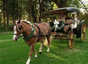 Horse & Carriage at Timberlake Weddings Venue