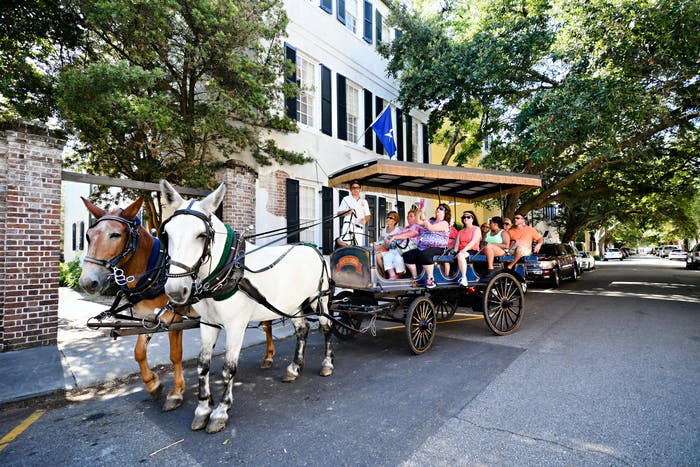 Tourists on a carriage tour of Charleston, SC.