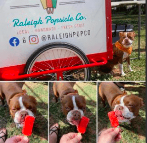 Raleigh Popsicle Co | dog eating popsicle | Popsicles at Weddings