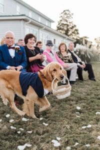 A dog holds a basket at a wedding.